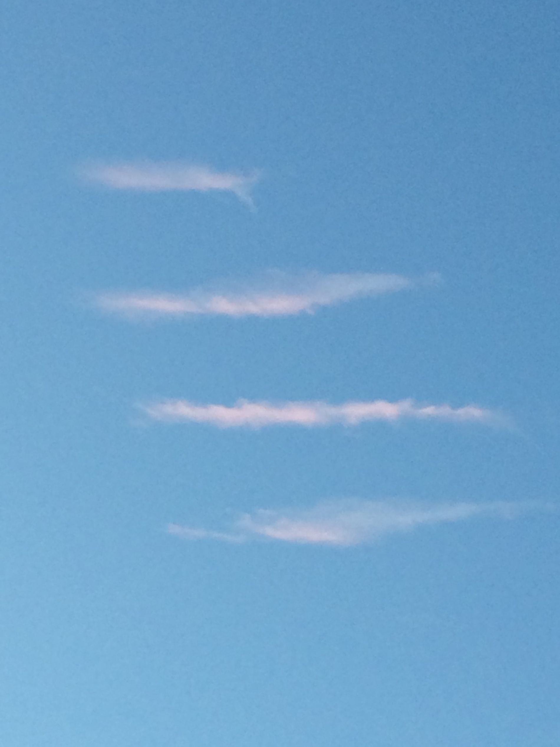 Fish or clouds 1